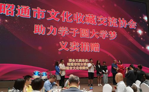 昭通市文化收藏交流協(xié)會(huì)成立，川滇兩地文化藝術(shù)交流迎來新篇章